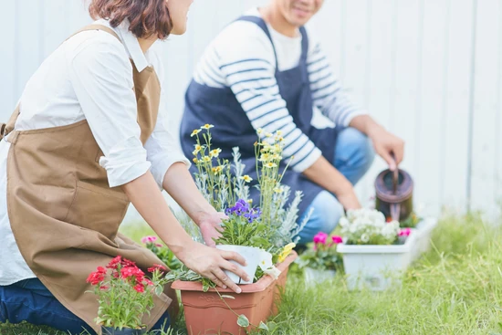 Pflanzenpflege im Garten